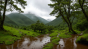 下雨天山间树林风景图片